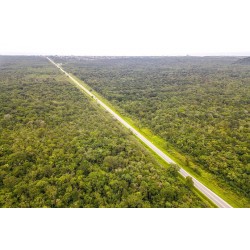 Anteprojeto de duplicação entre Guaratuba e Garuva será apresentado no dia 16 de janeiro